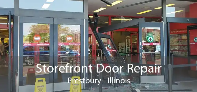 Storefront Door Repair Prestbury - Illinois