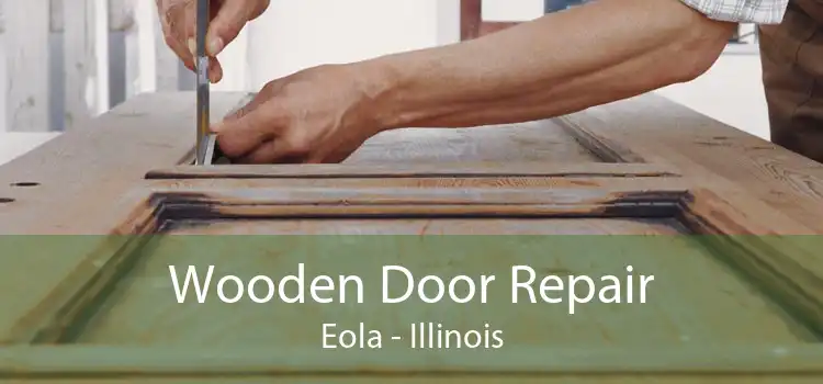 Wooden Door Repair Eola - Illinois