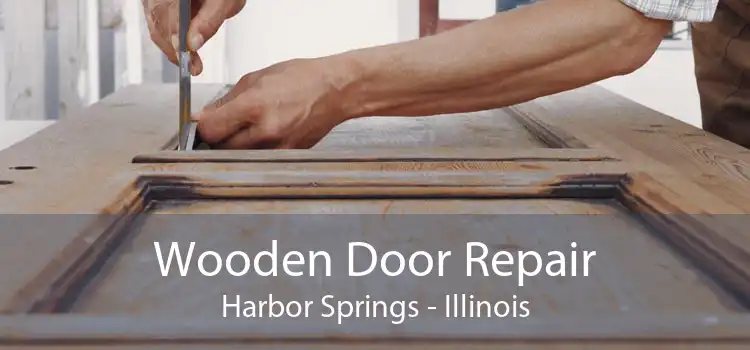 Wooden Door Repair Harbor Springs - Illinois