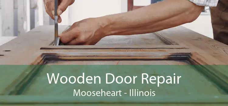 Wooden Door Repair Mooseheart - Illinois